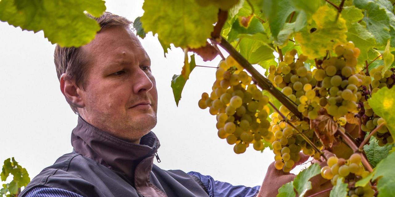 Weingut Kurt Bug