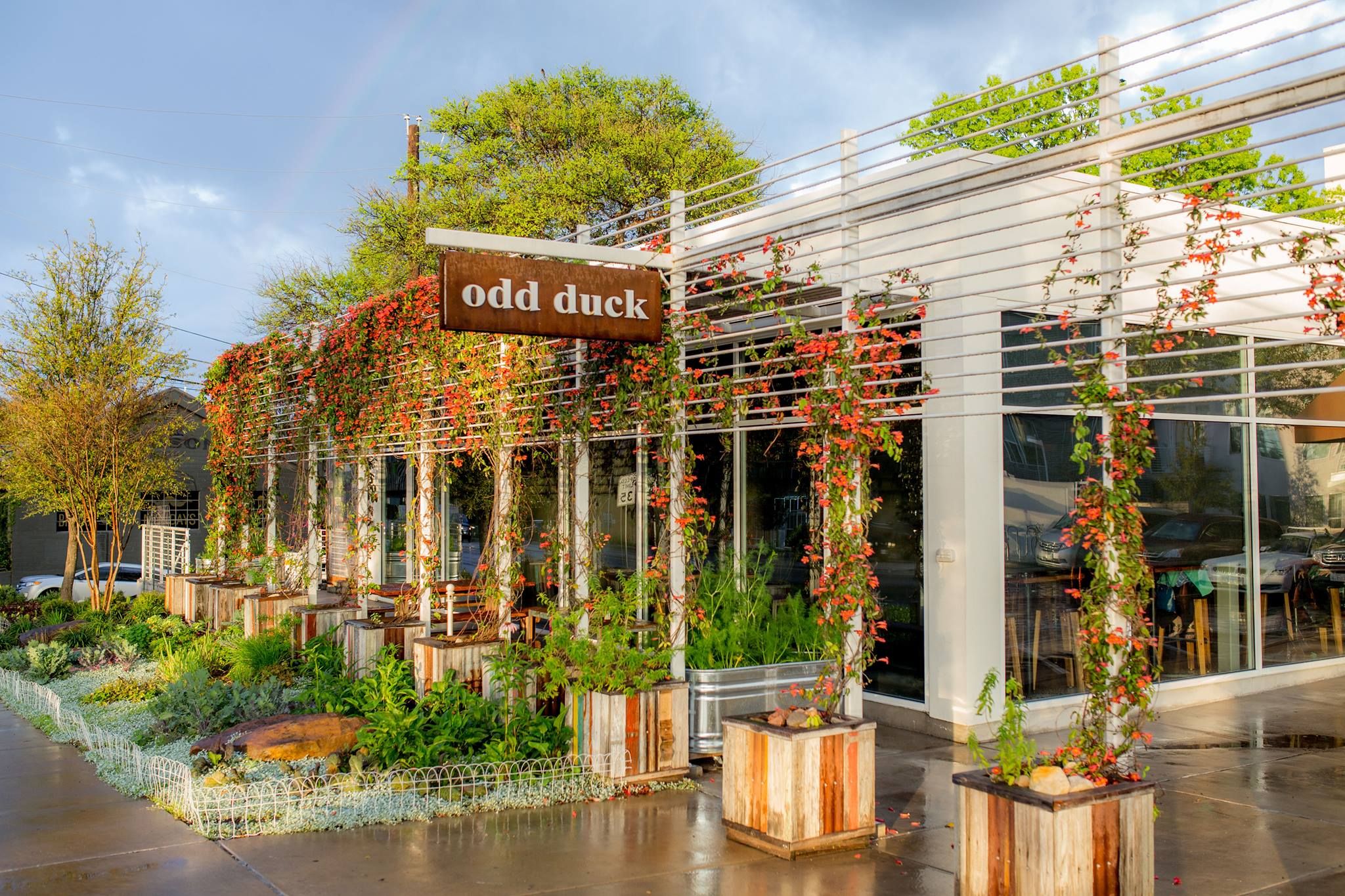 Odd Duck: Farm-to-Table Done Right on South Lamar