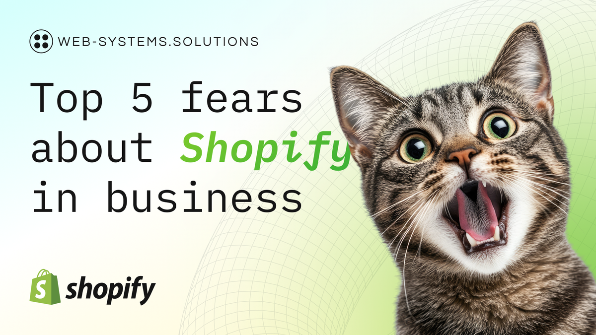 Blog - Top 5 fears about Shopify in business: what you really need to know : image-1