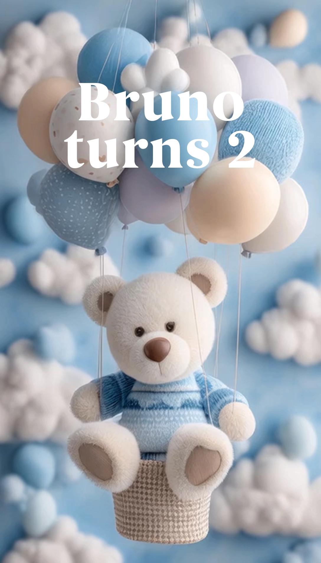 Balloons & Teddy