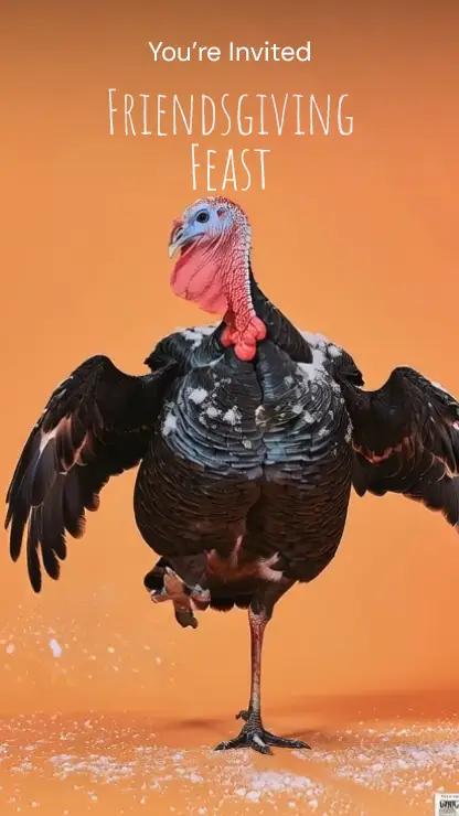 Turkey Dance