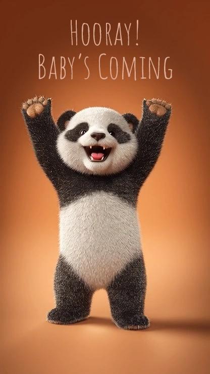 Fun Panda