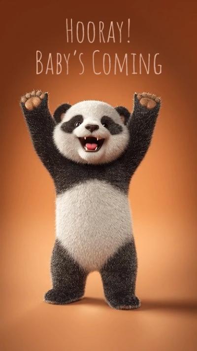 Fun Panda video invitation