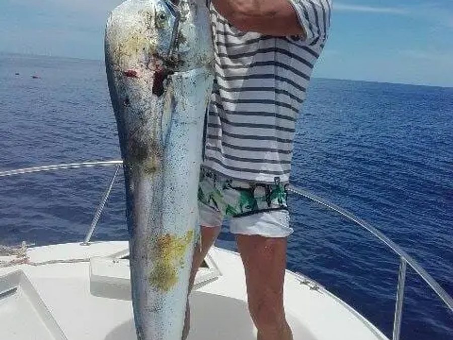 Big-game fishing in Polynesia