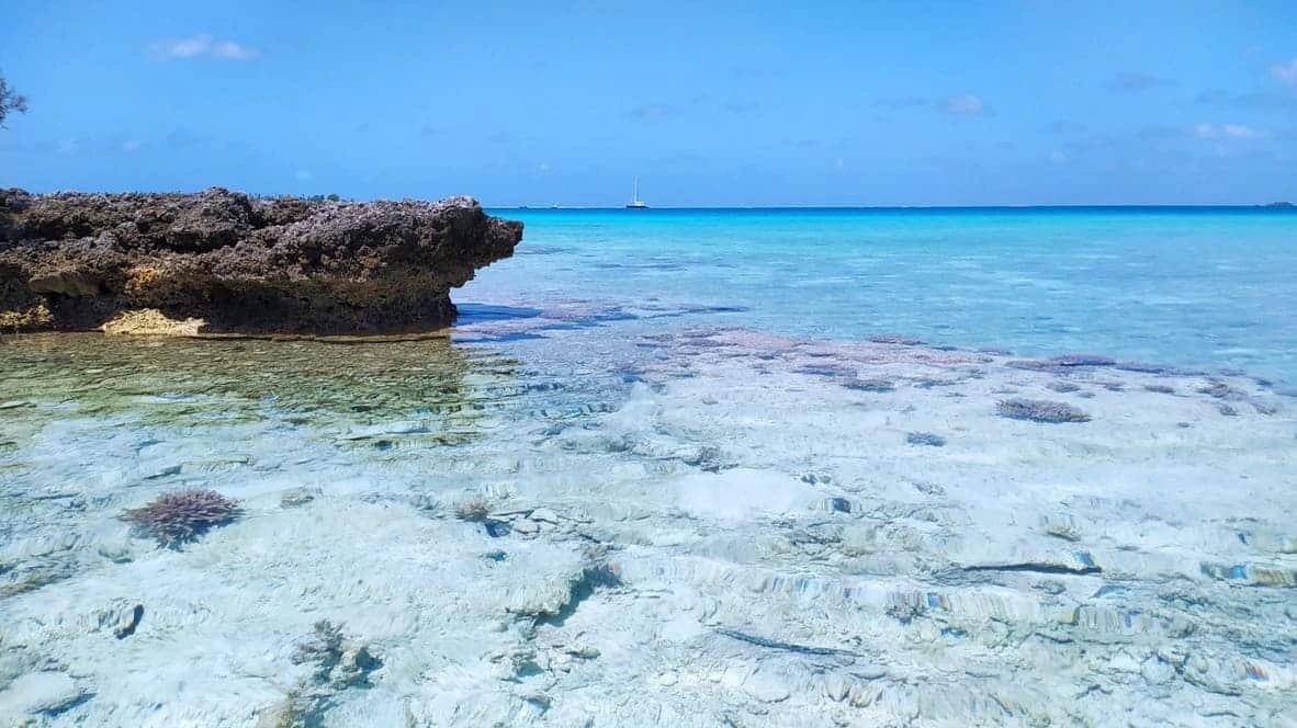 Croisière aux Tuamotu