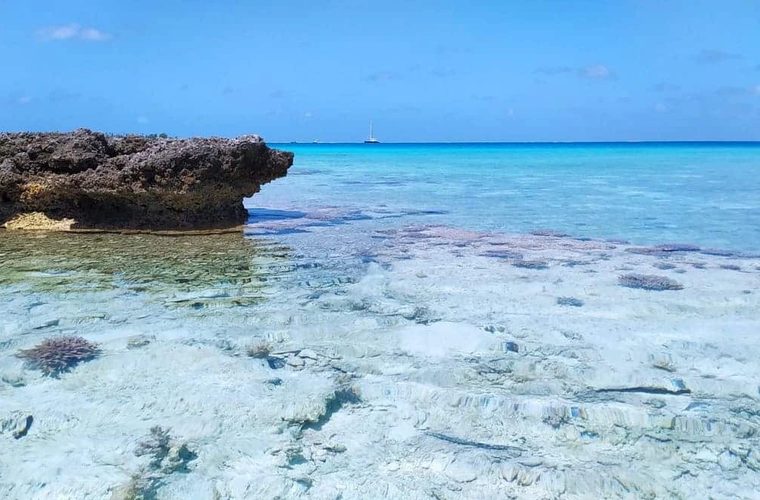 Croisière aux Tuamotu
