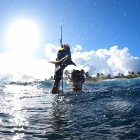 Pêche au fusil dans les Tuamotu