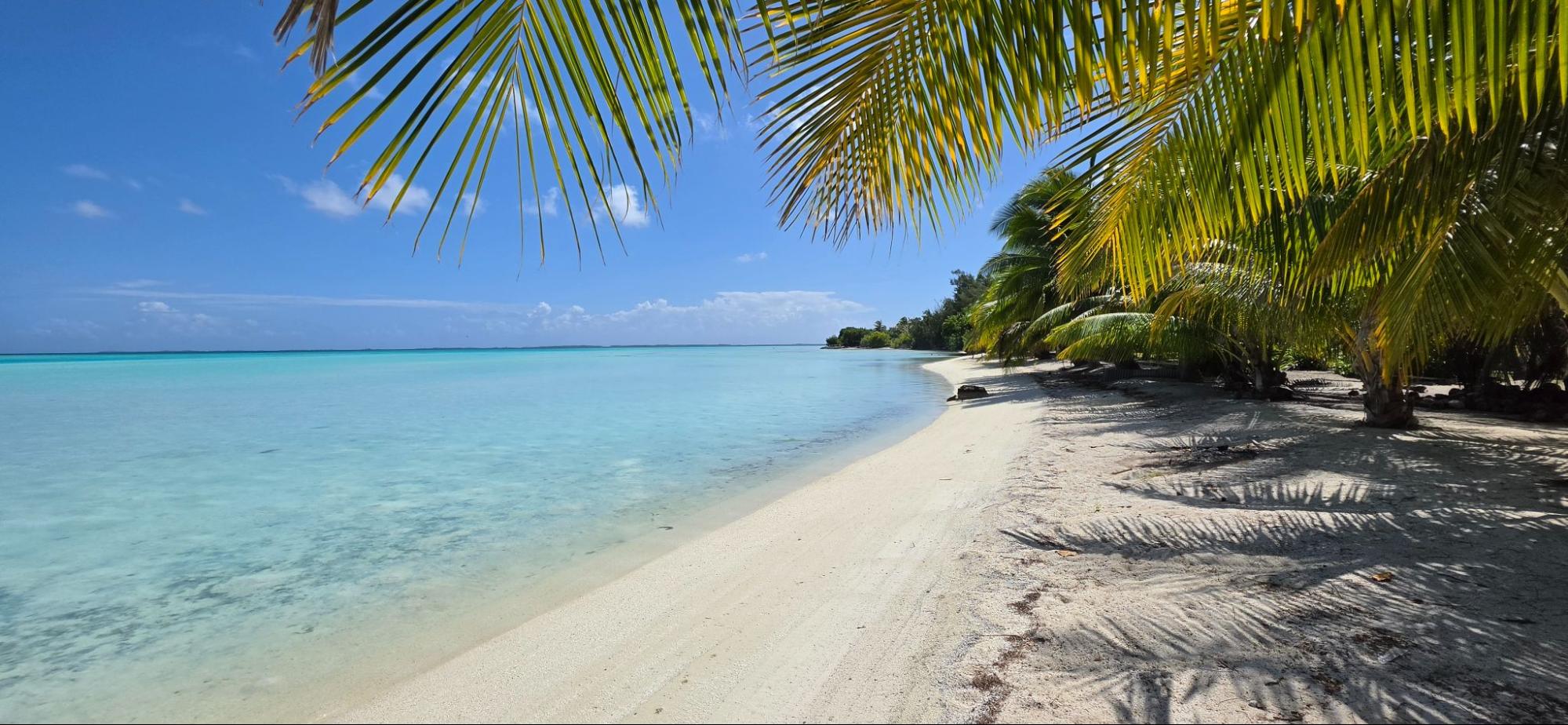 Croisière aux Tuamotu : le guide complet