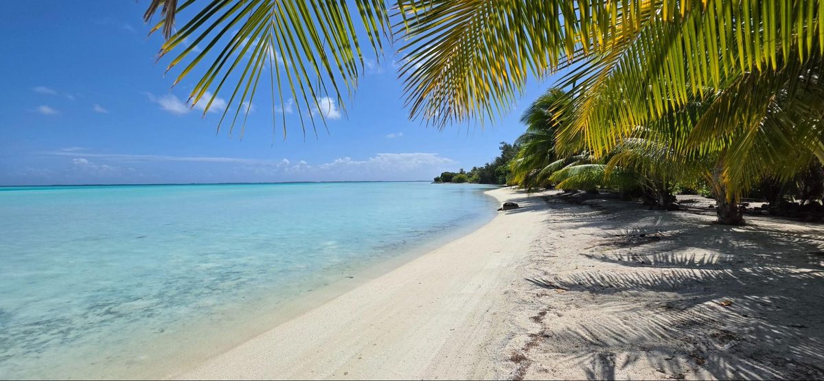 Croisière aux Tuamotu : le guide complet