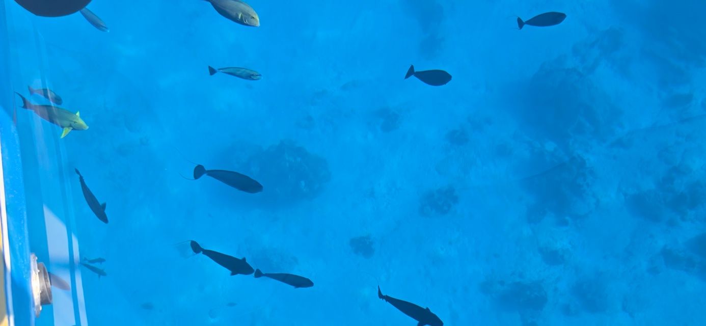 Visibilité incroyable sous l'eau à Kauehi