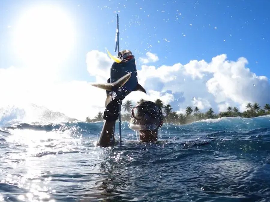 Spearfishing in the Tuamotu