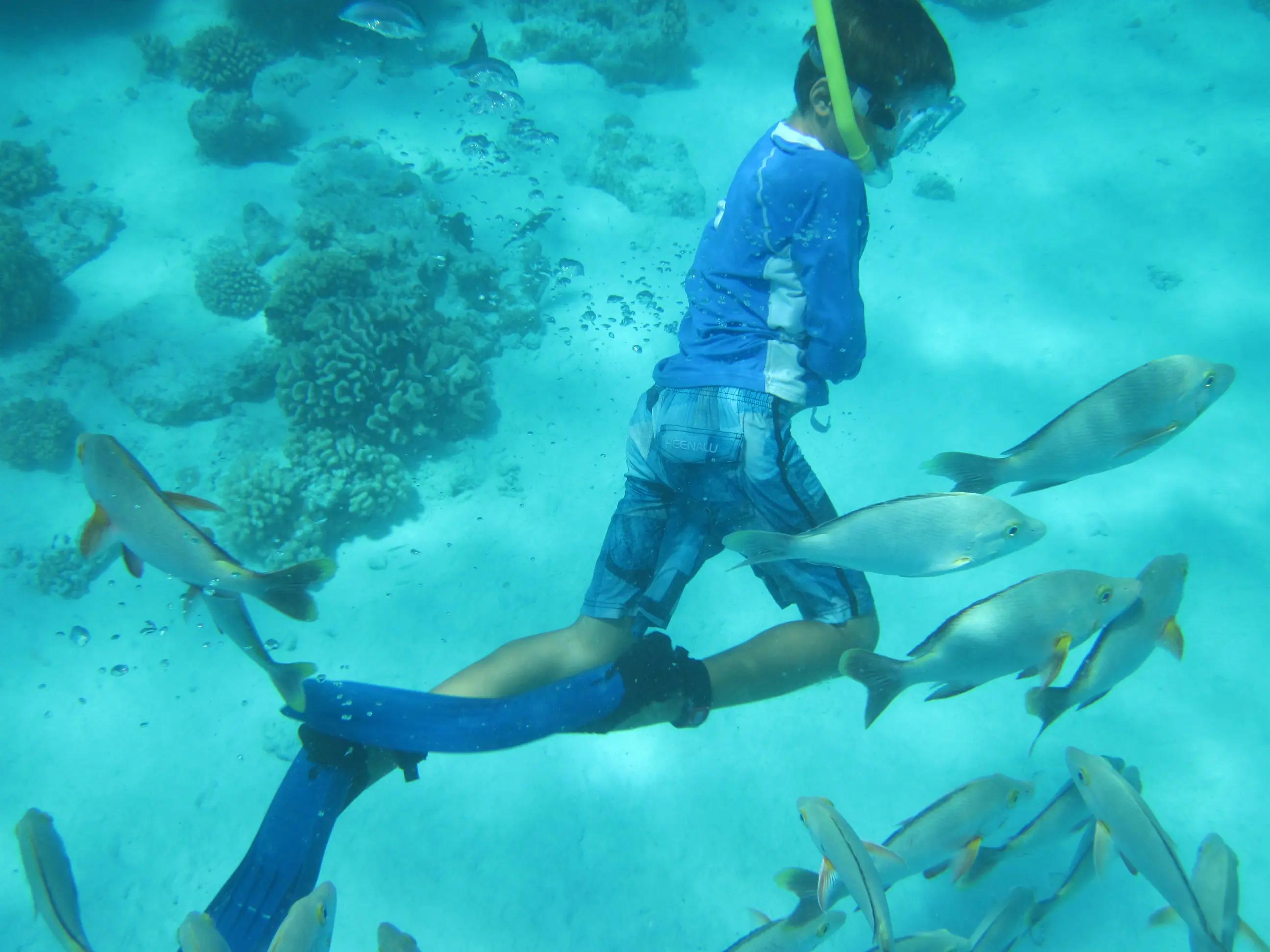  Snorkeling