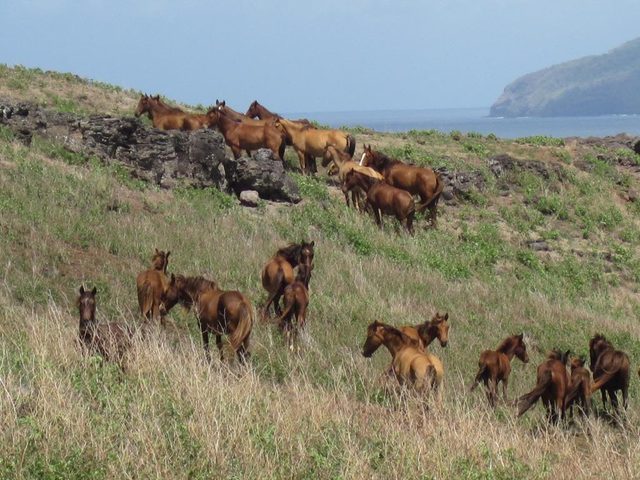 Croisière aux îles Marquises
