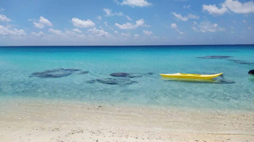 Croisière aux Tuamotu