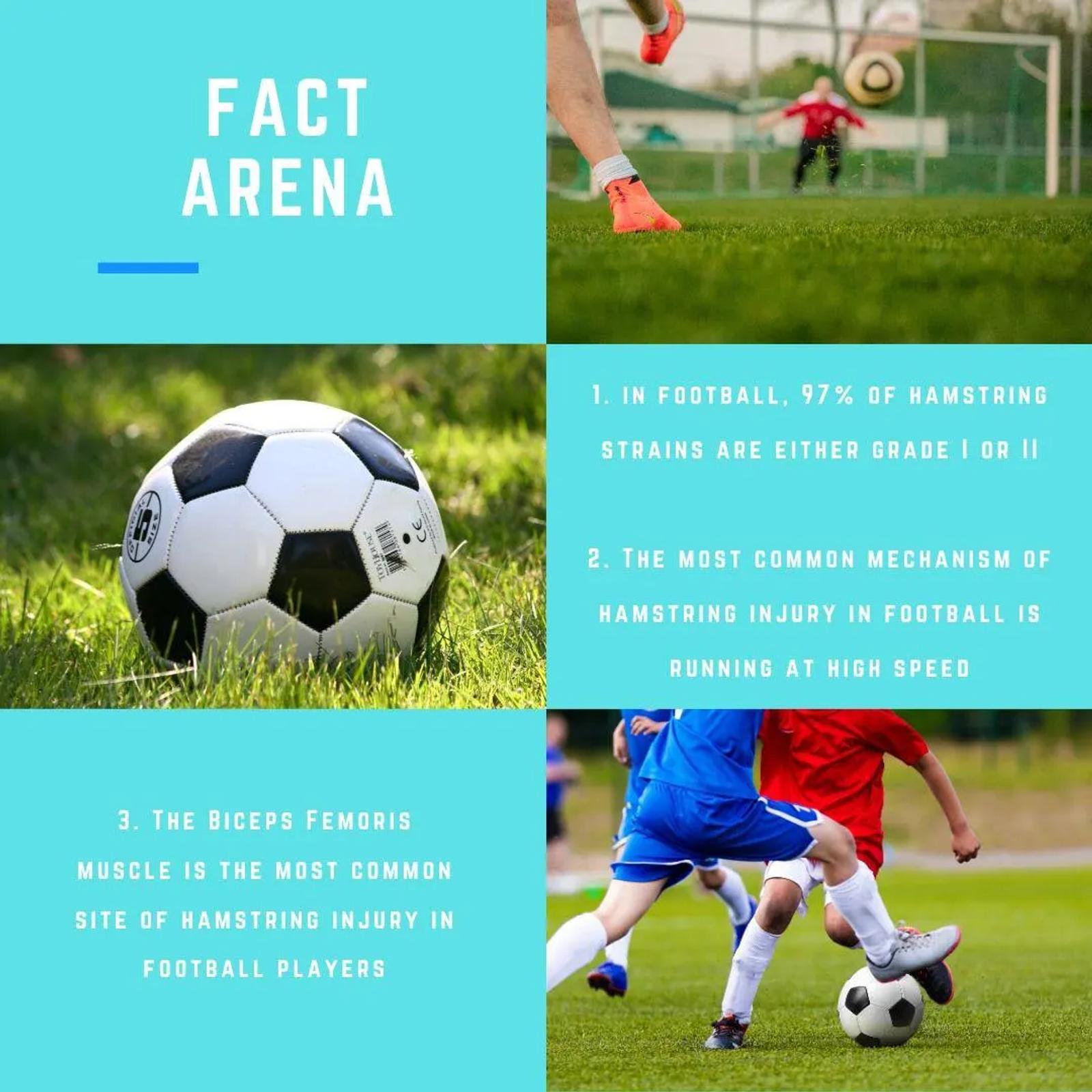 Hamstring strains – facts and rehab (part 1)