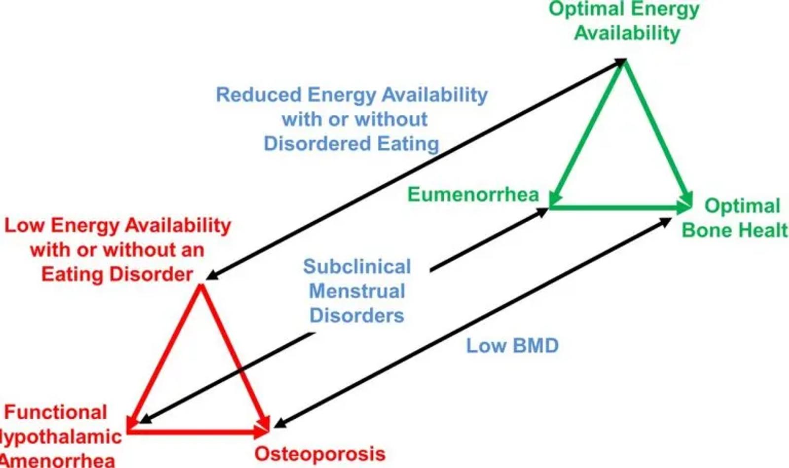 Relationship between the Female Athlete Triad and health/performance
