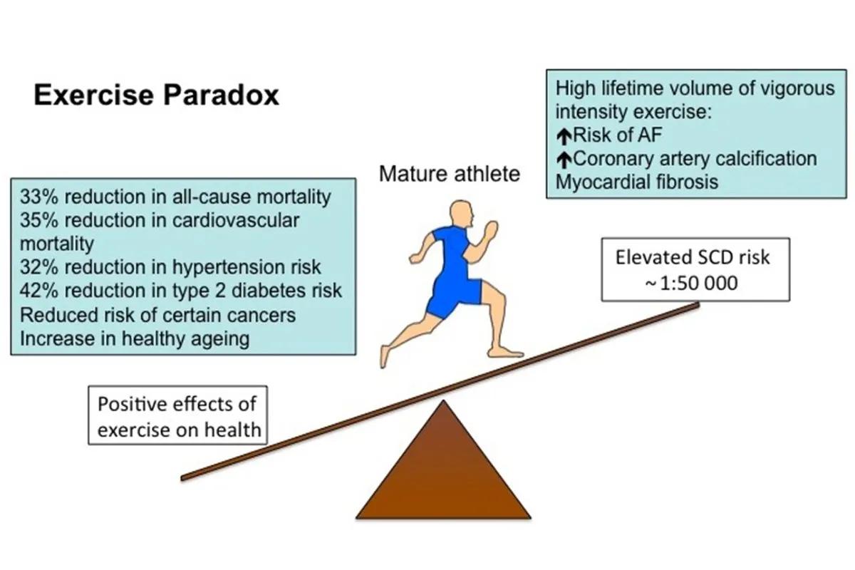 The physical activity paradox