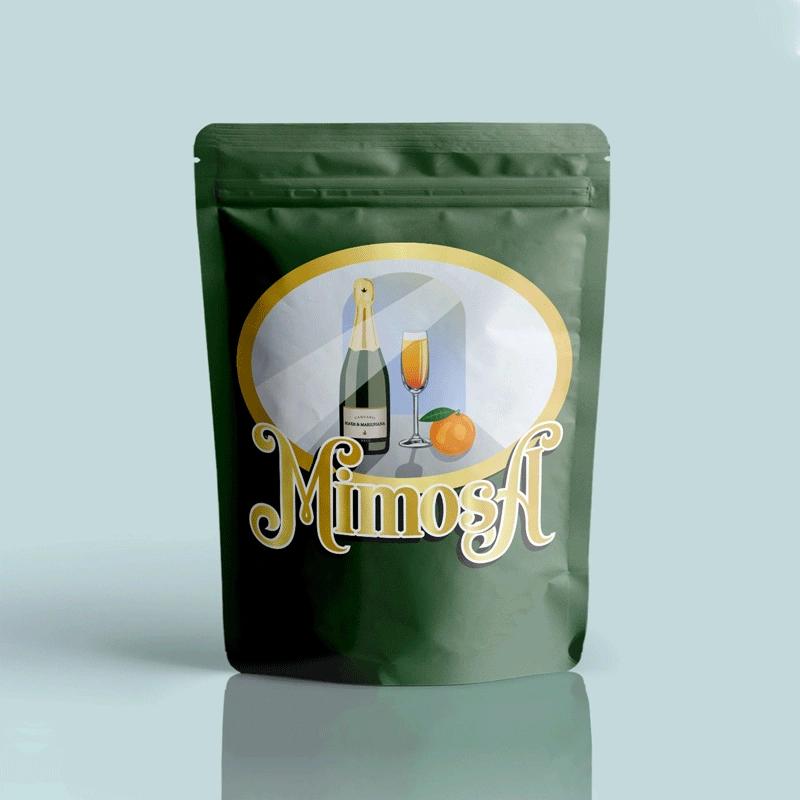 Mylar Comic Bags