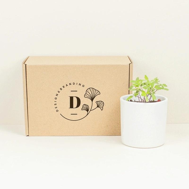 Eco Friendly Boxes
