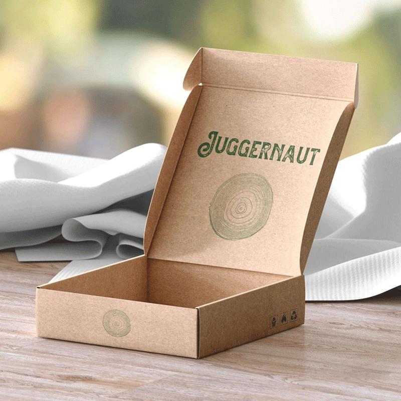 High-Quality Kraft Mailer Boxes with Custom Logo Printing