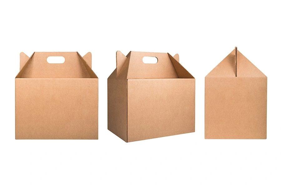 Wholesale togo boxes ideal for bulk orders for restaurants and cafes in USA