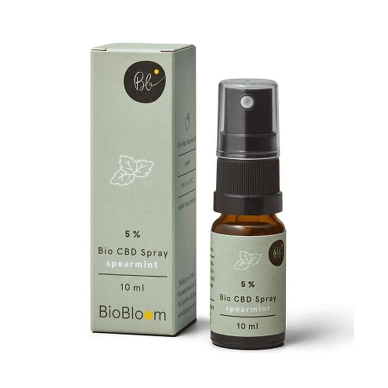 Affordable Wholesale 10ml Vial Bottle Boxes for Small Vials
