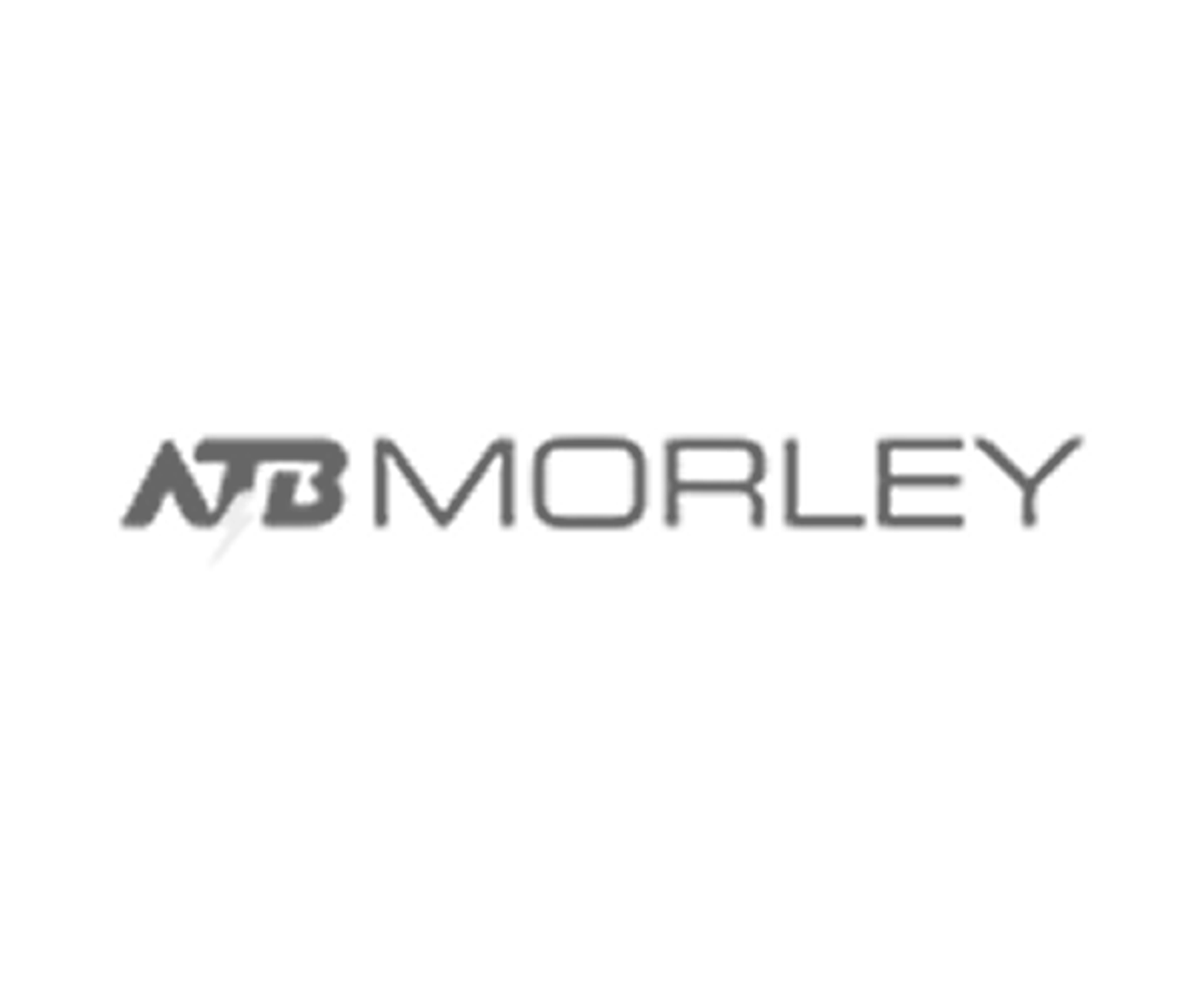 ATB Morley heavy-duty motors for mining and hazardous areas logo