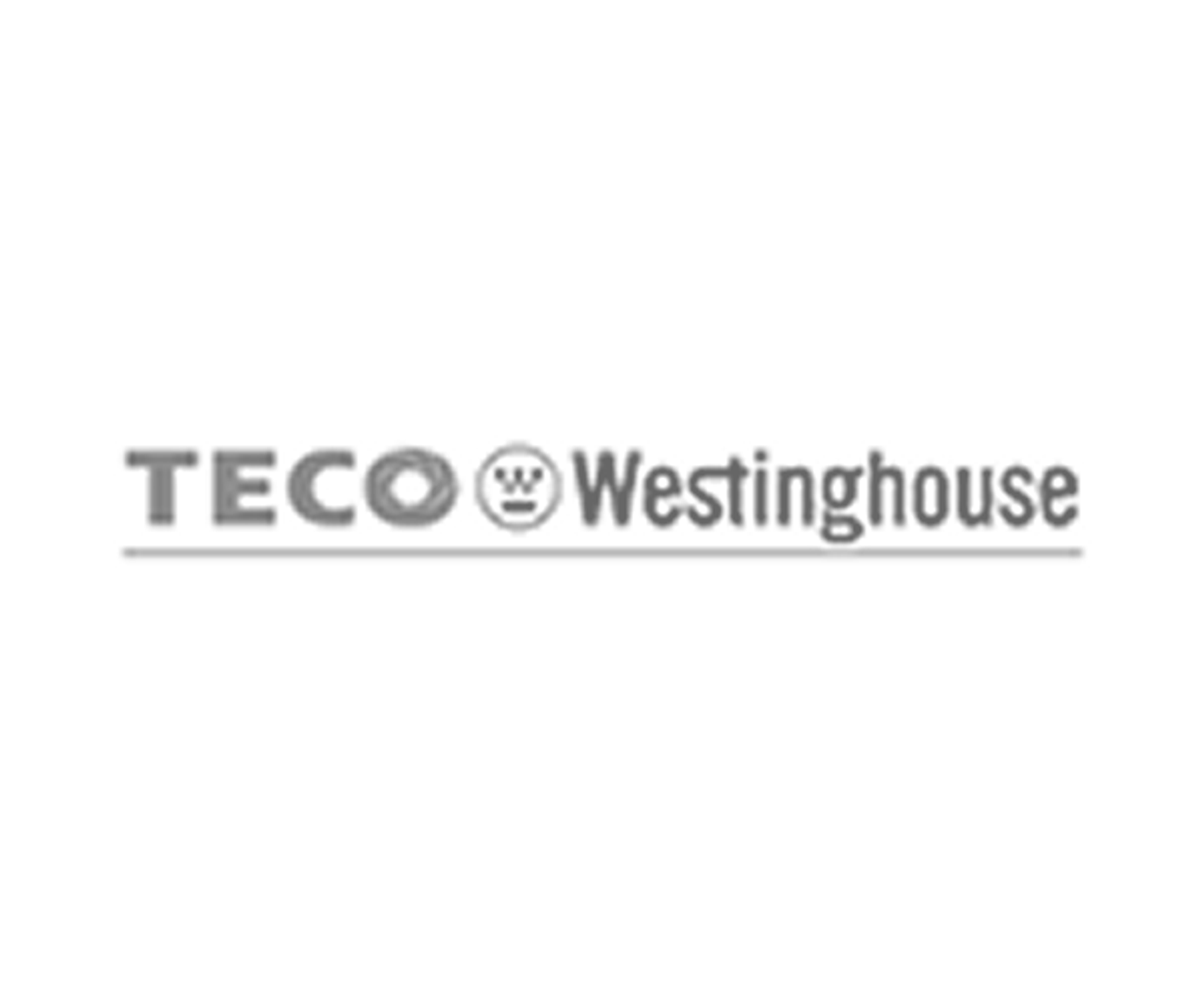 TECO-Westinghouse motor and generator manufacturing logo