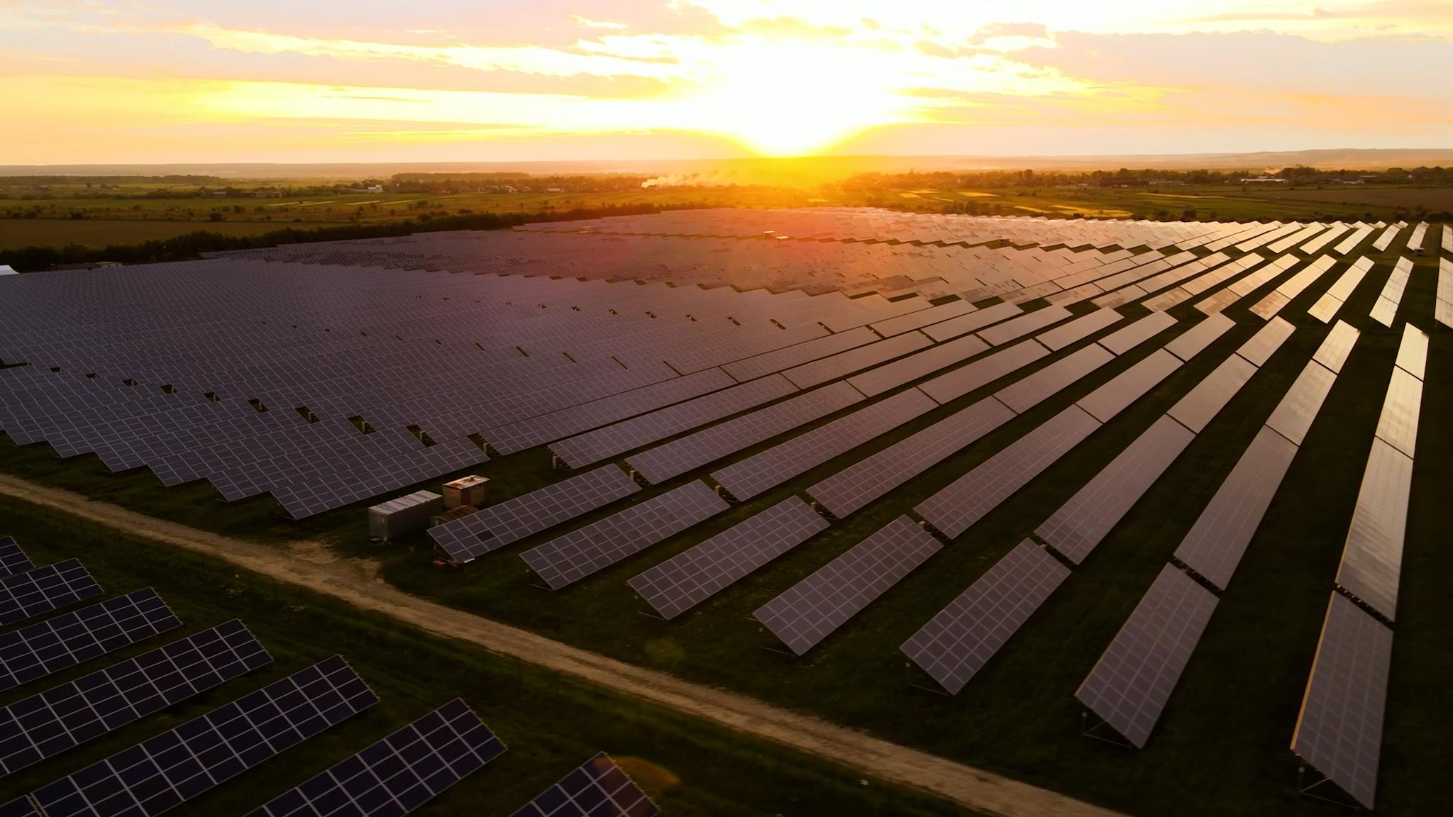 Rows of solar panels at a utility-scale solar farm during sunset.