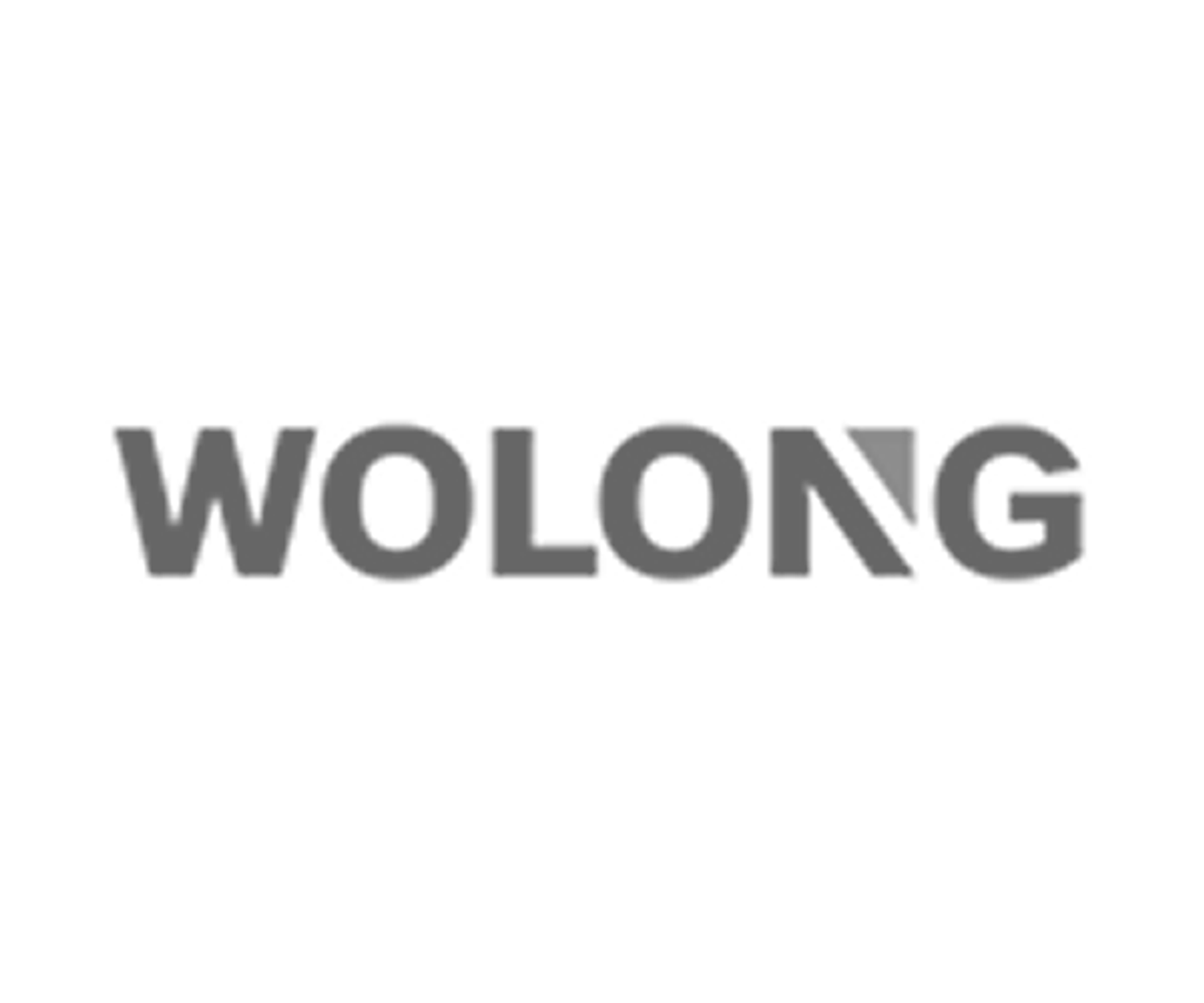 Wolong Electric global motor and drive solutions logo