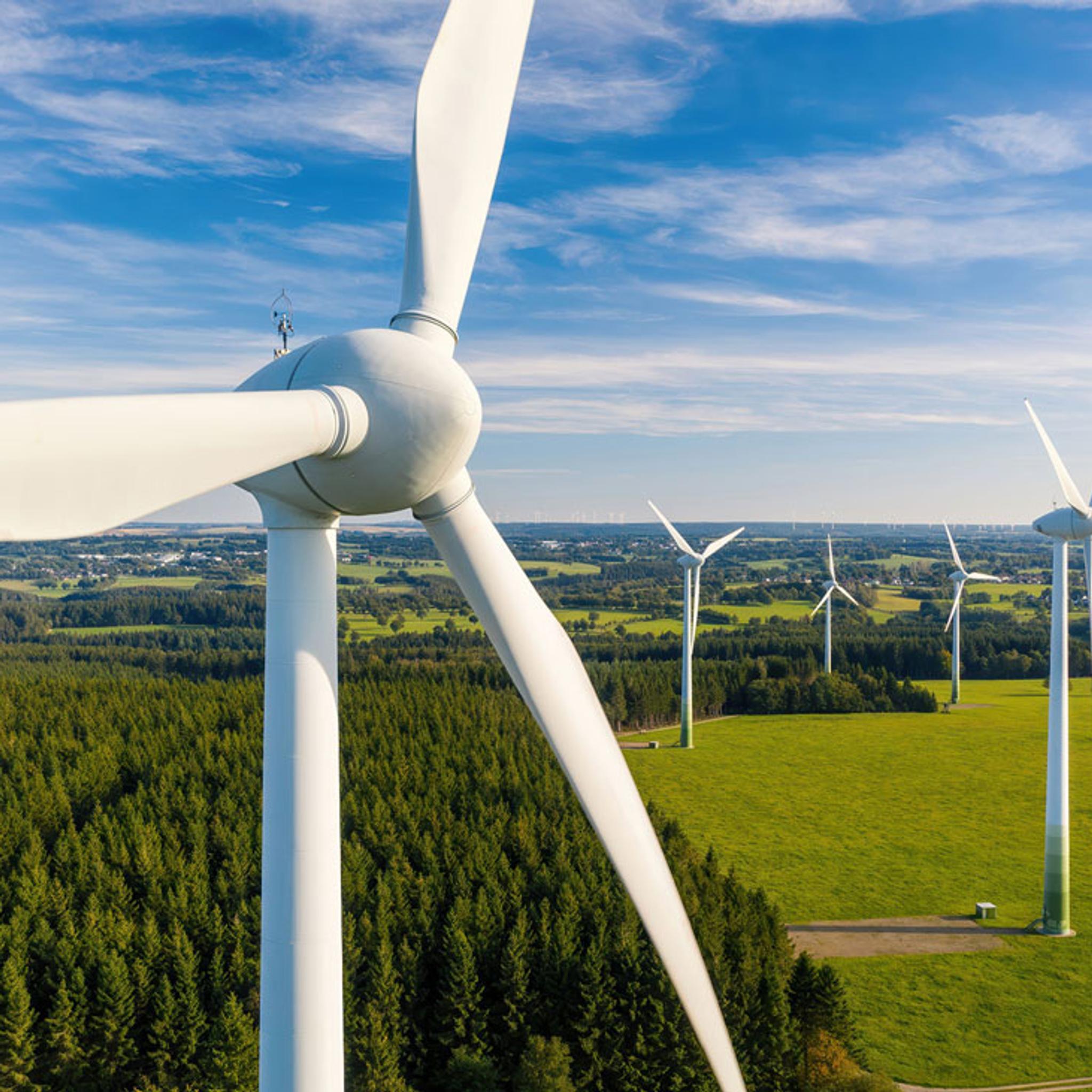 Wind turbines generate power across green fields and forest under a blue sky.