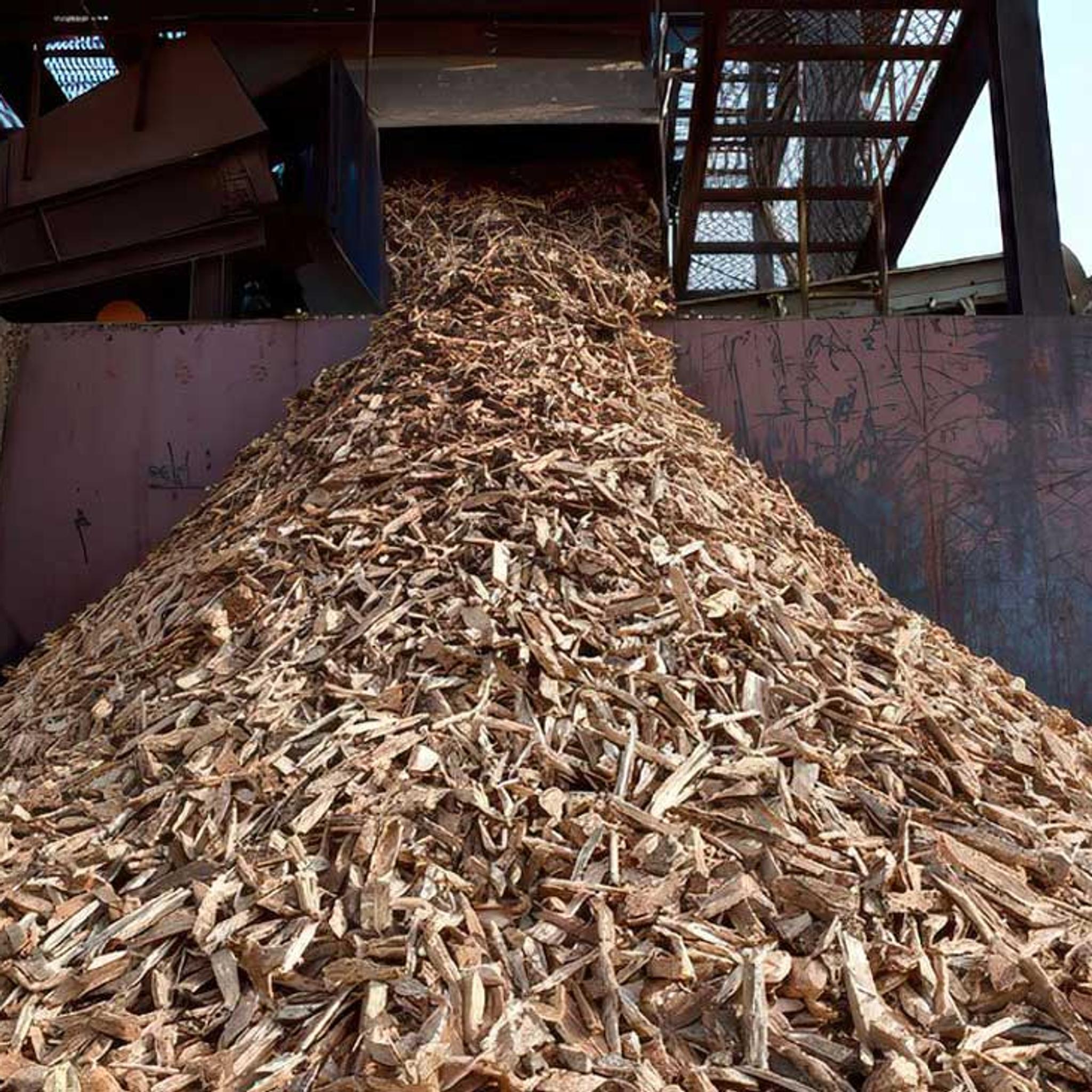 Industrial conveyor deposits a large pile of wood chips at a processing facility.