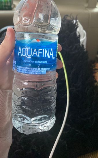 Pepsico, Inc, Aquafina Water (16.9 Fl Oz - 32) 540.8 Fluid Ounce 32 Pack Plastic Bottles, barcode: 0012000013119, has 0 potentially harmful, 0 questionable, and
    0 added sugar ingredients.