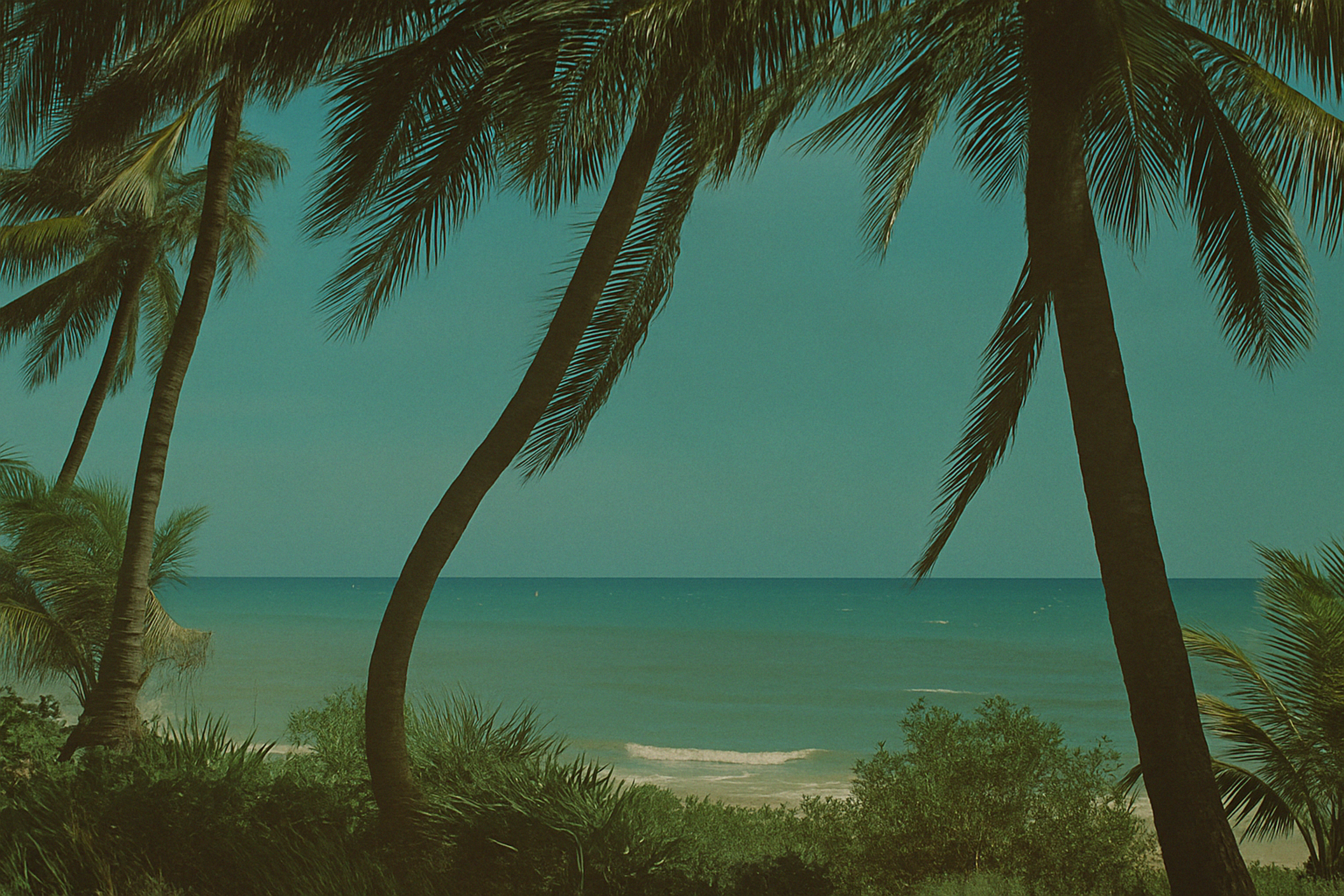 An illustration of a tropical island