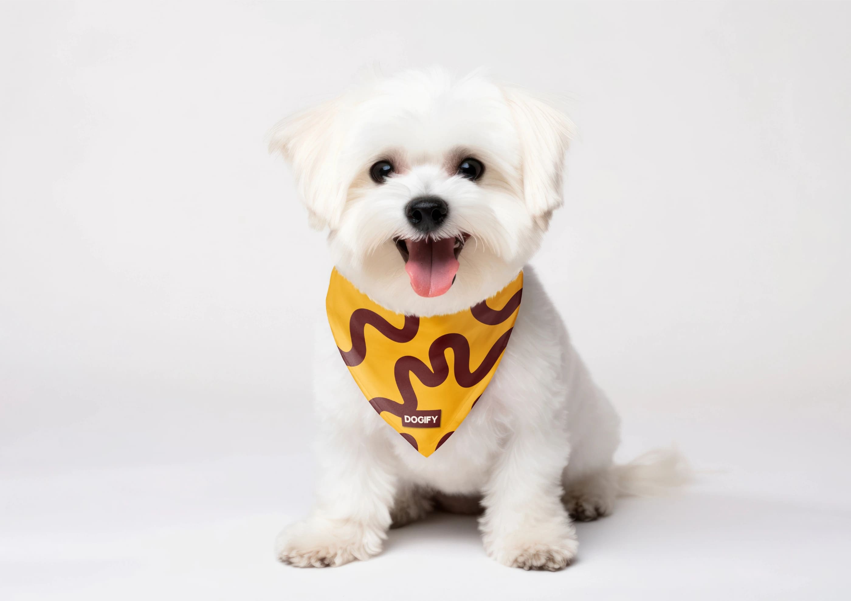 DOGIFY — slide 6
