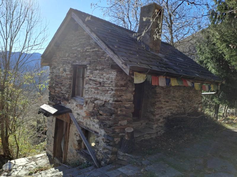 The Bear House — Single Cottage