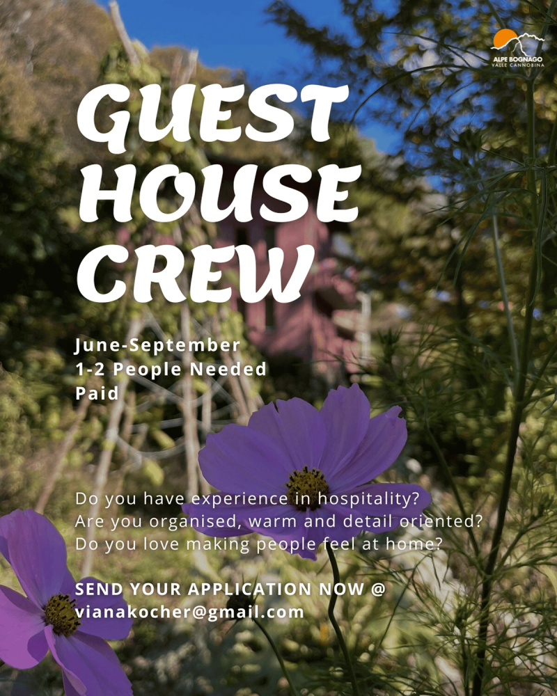 Guest House Crew