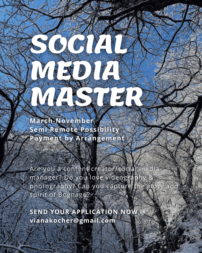 Social Media Master