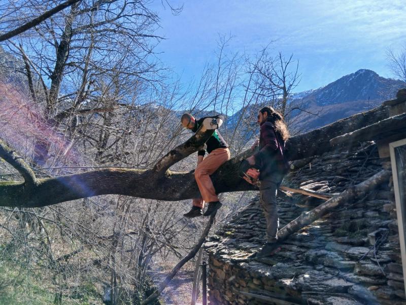 Life in Bognago