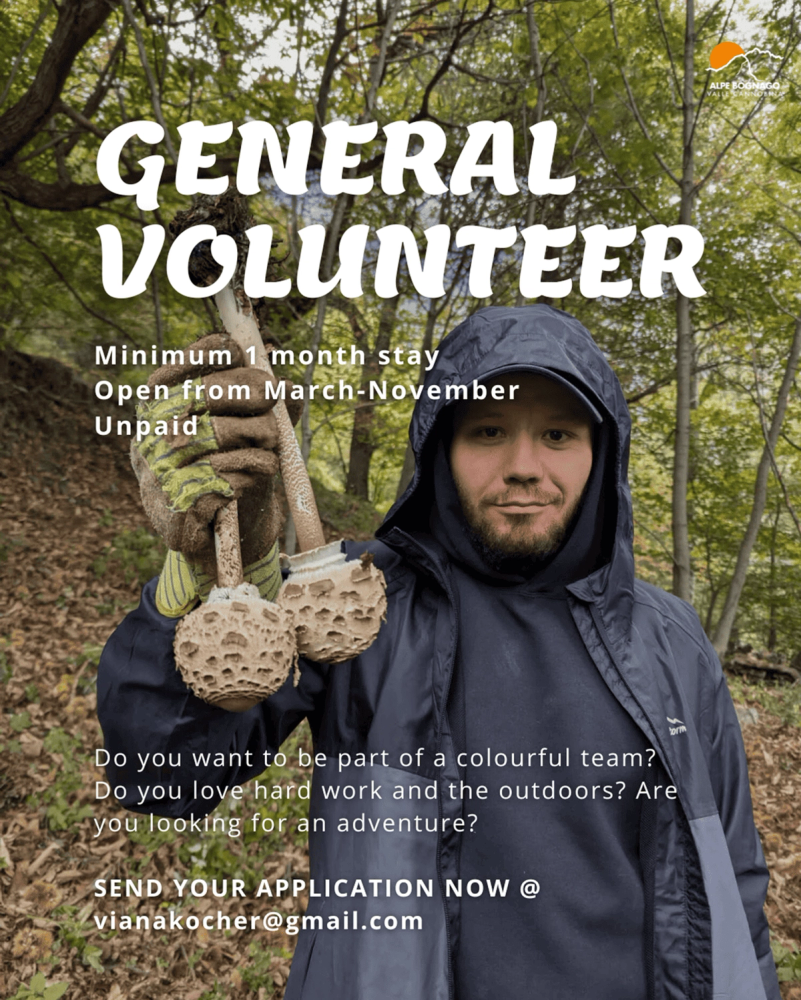 General Volunteer