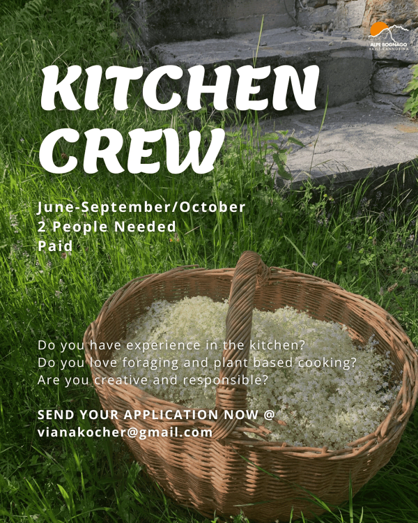 Kitchen Crew