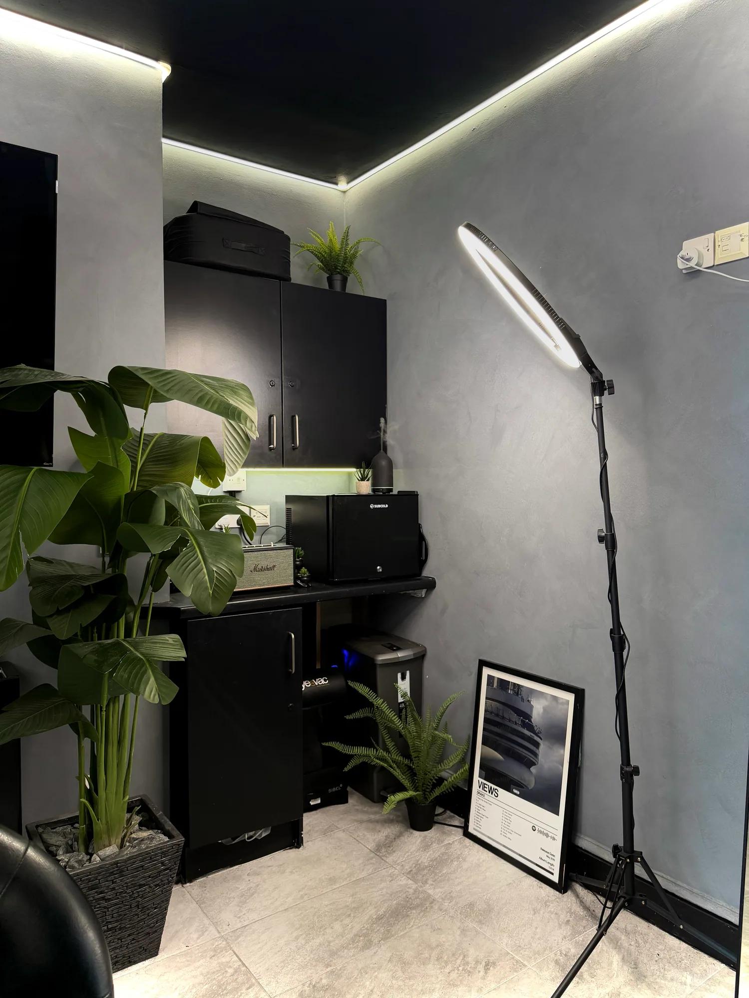 The Marshall amp and plants in the corner of the Chair and Blade studio