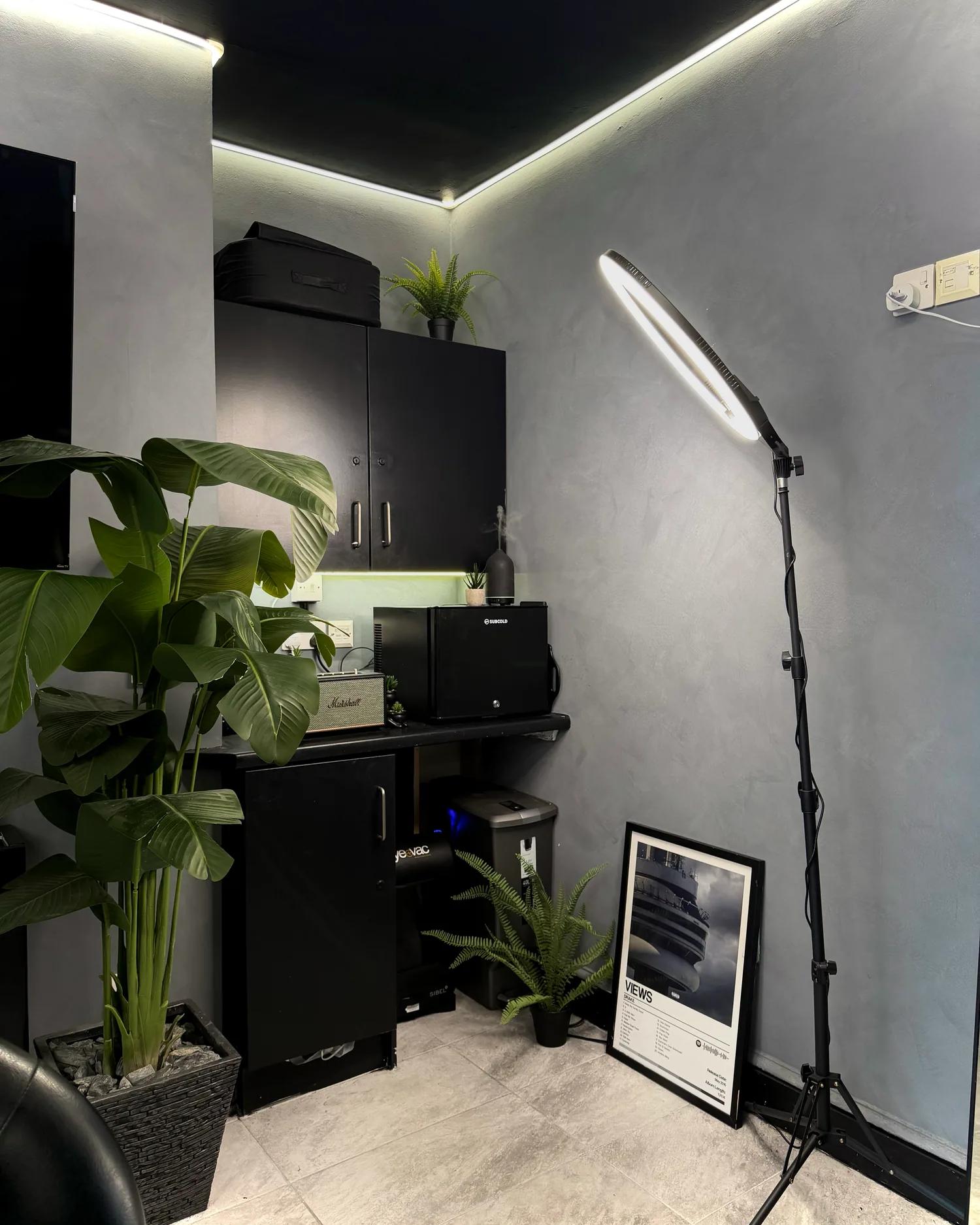 The Marshall amp and plants in the corner of the Chair and Blade studio