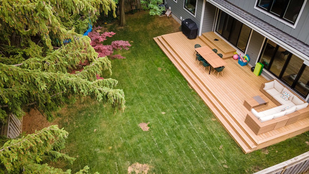 backyard