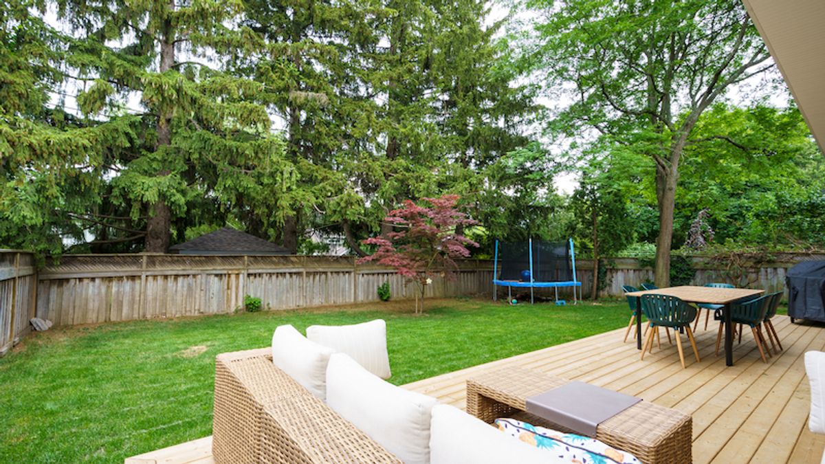 backyard