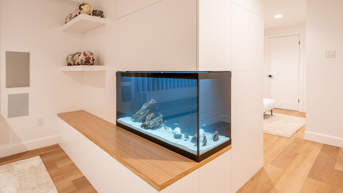 aquarium