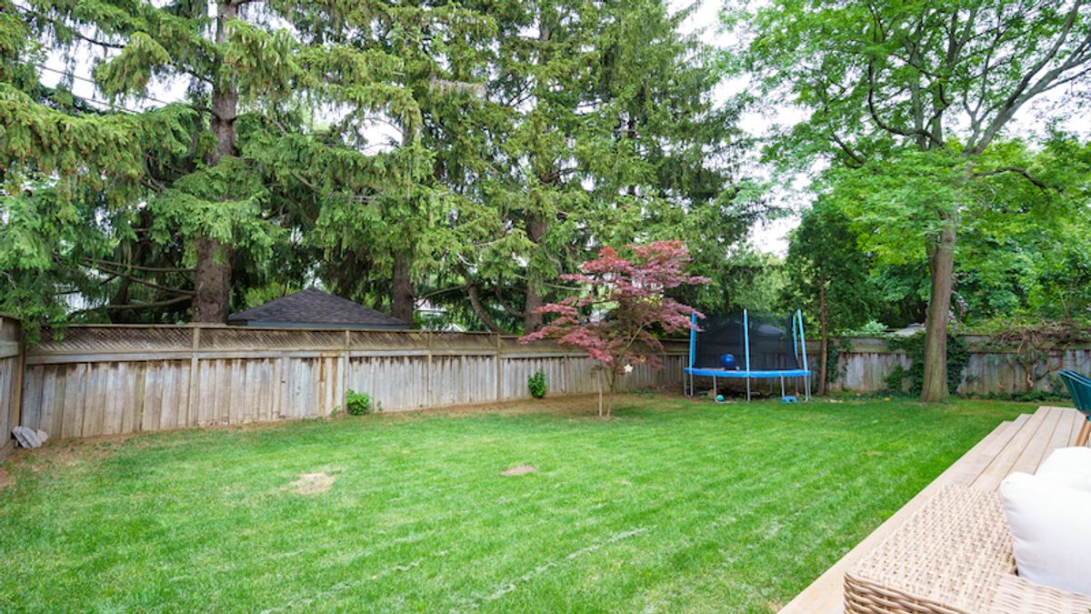 backyard