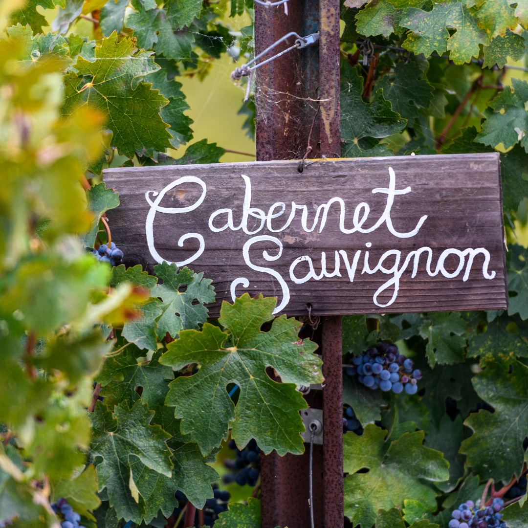 Cabernet Sauvignon