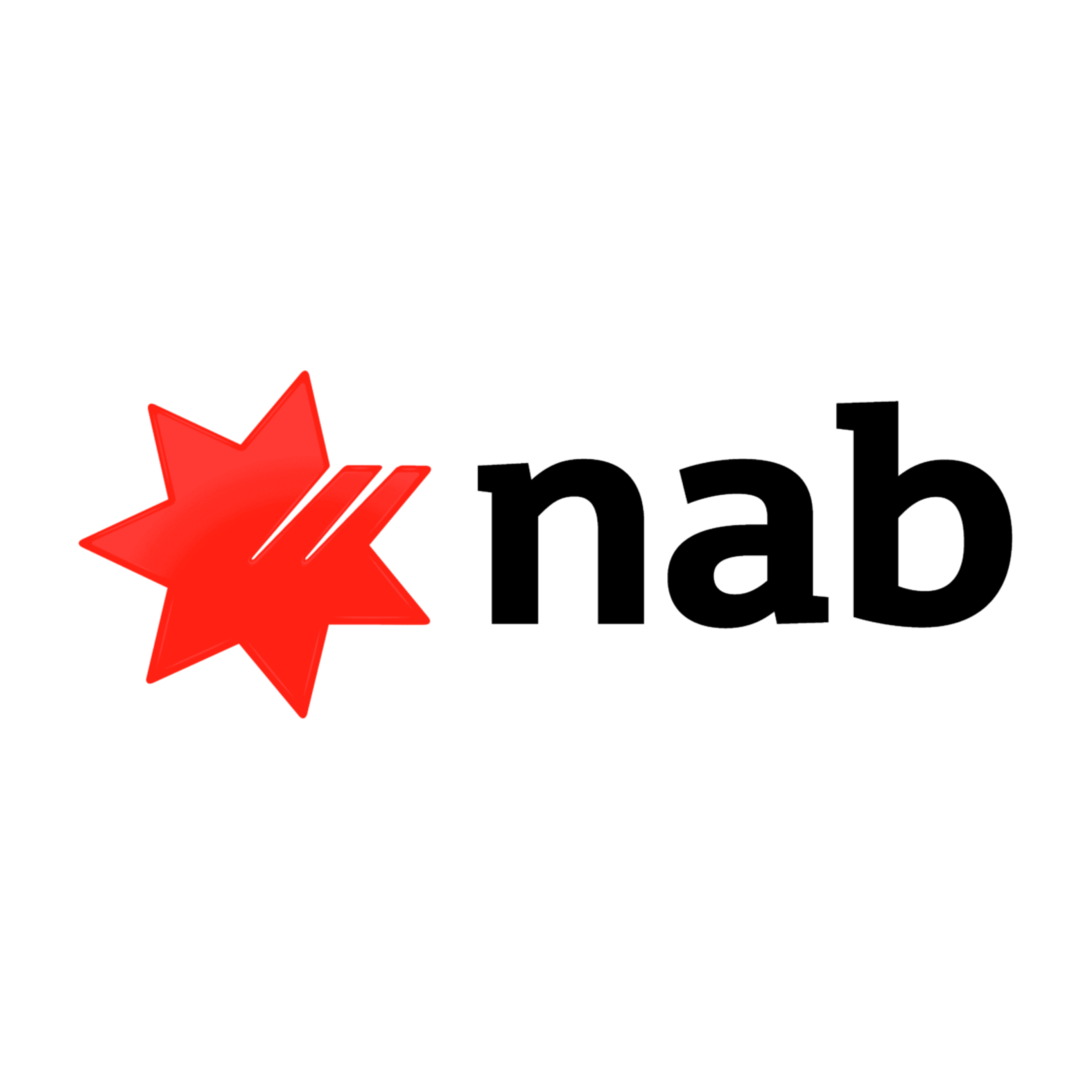 NAB Logo