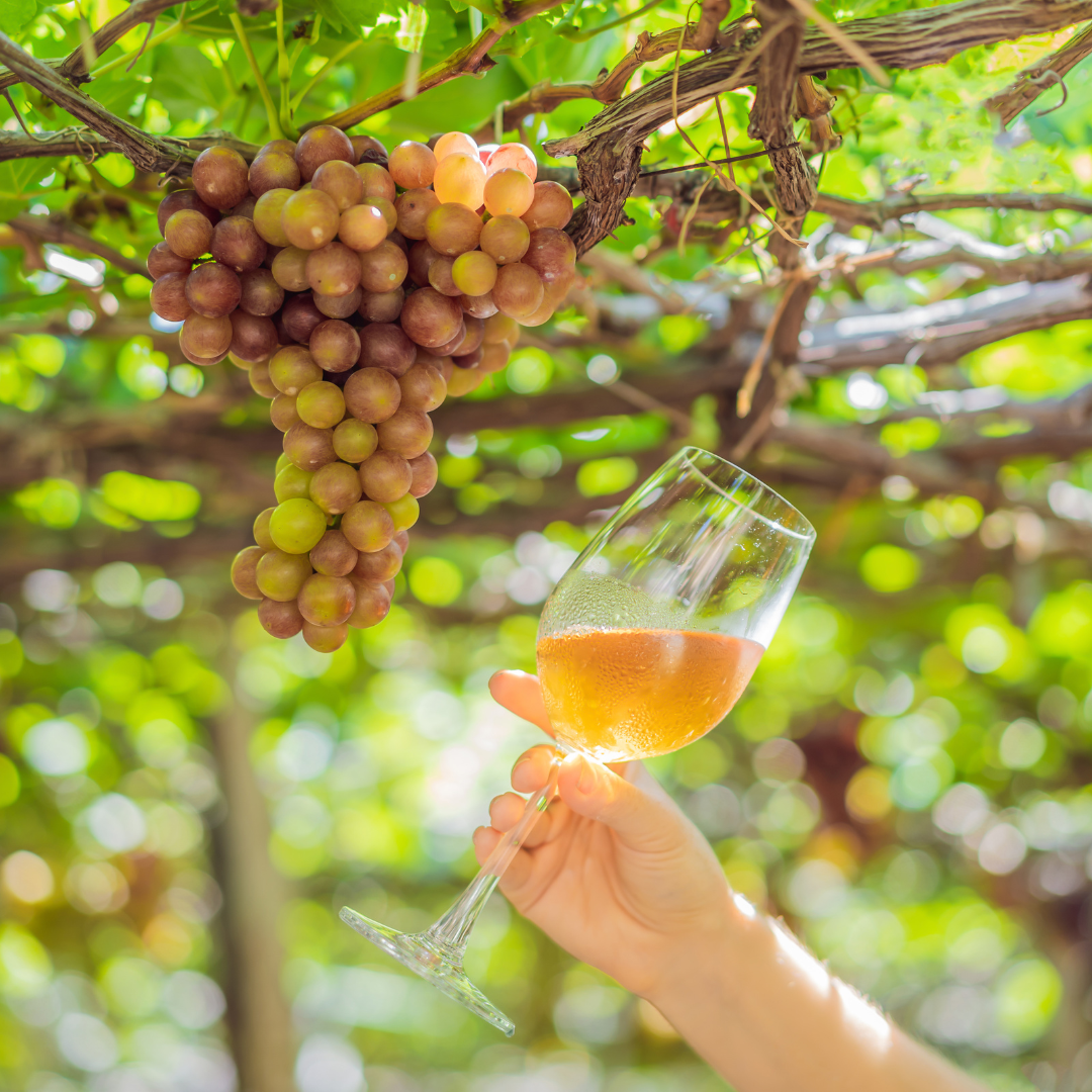 Regional Wine Gifting Inspiration